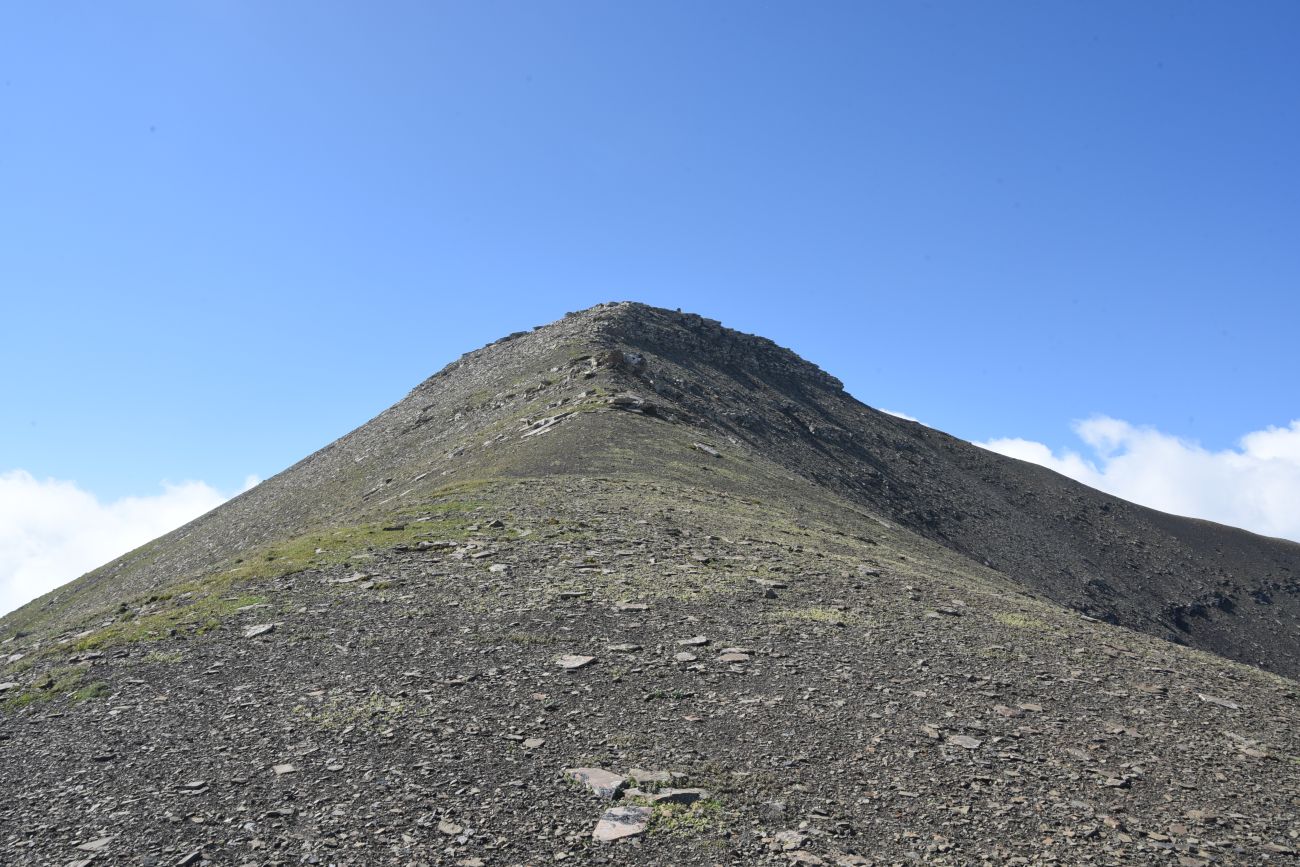 Гора Заинкорт, image of landscape/habitat.