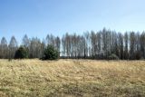 Верховья Каспли, изображение ландшафта.
