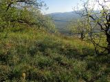 Image of landscape