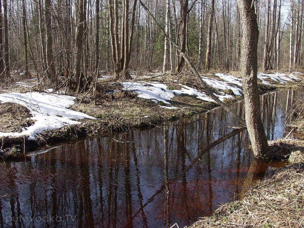 Шлюз №2 канала им. Москвы, image of landscape/habitat.