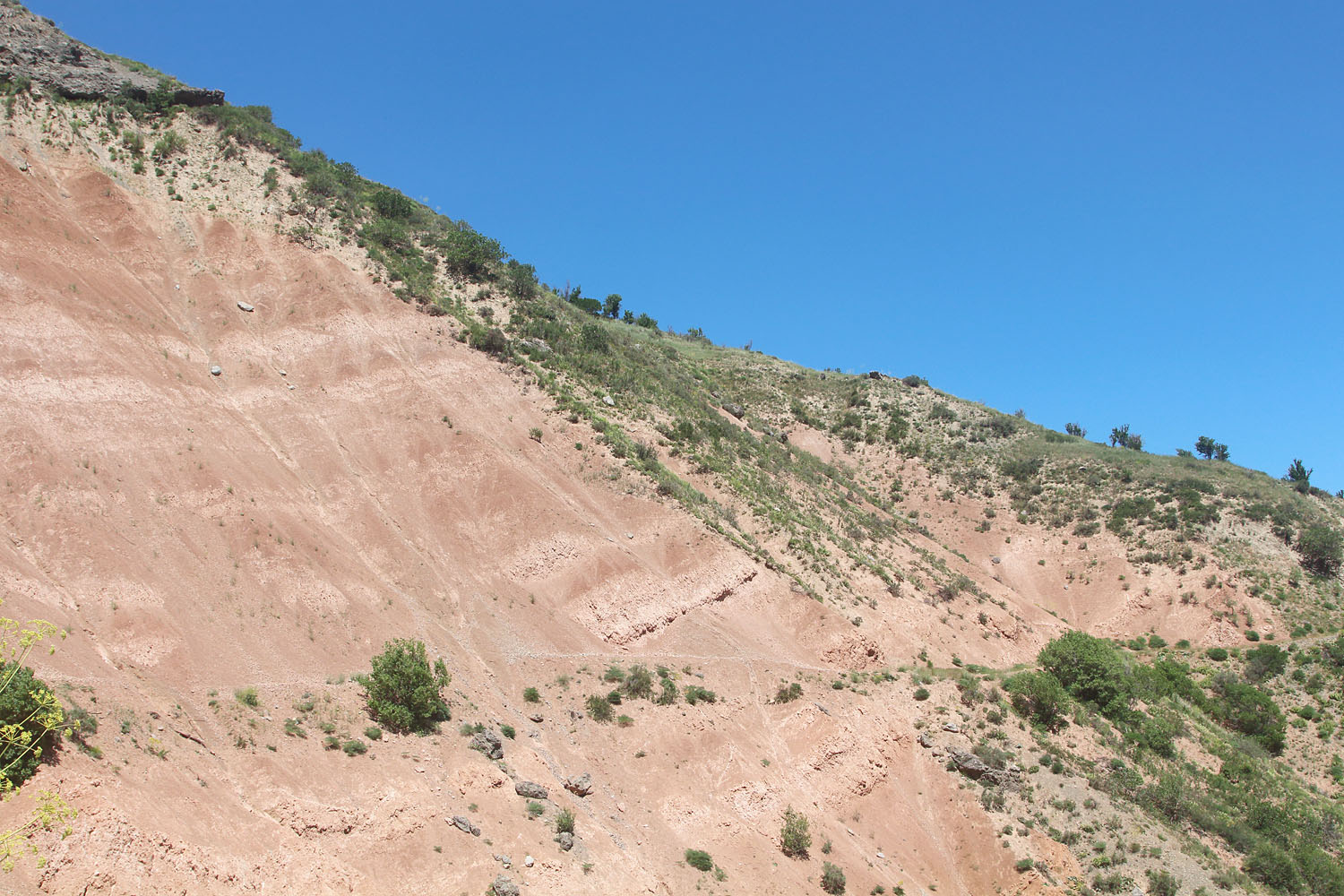 Склон к реке Чаткал, image of landscape/habitat.