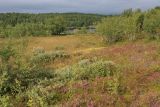 Image of landscape