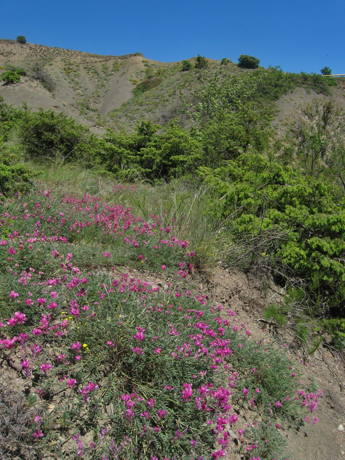 Перчем, image of landscape/habitat.