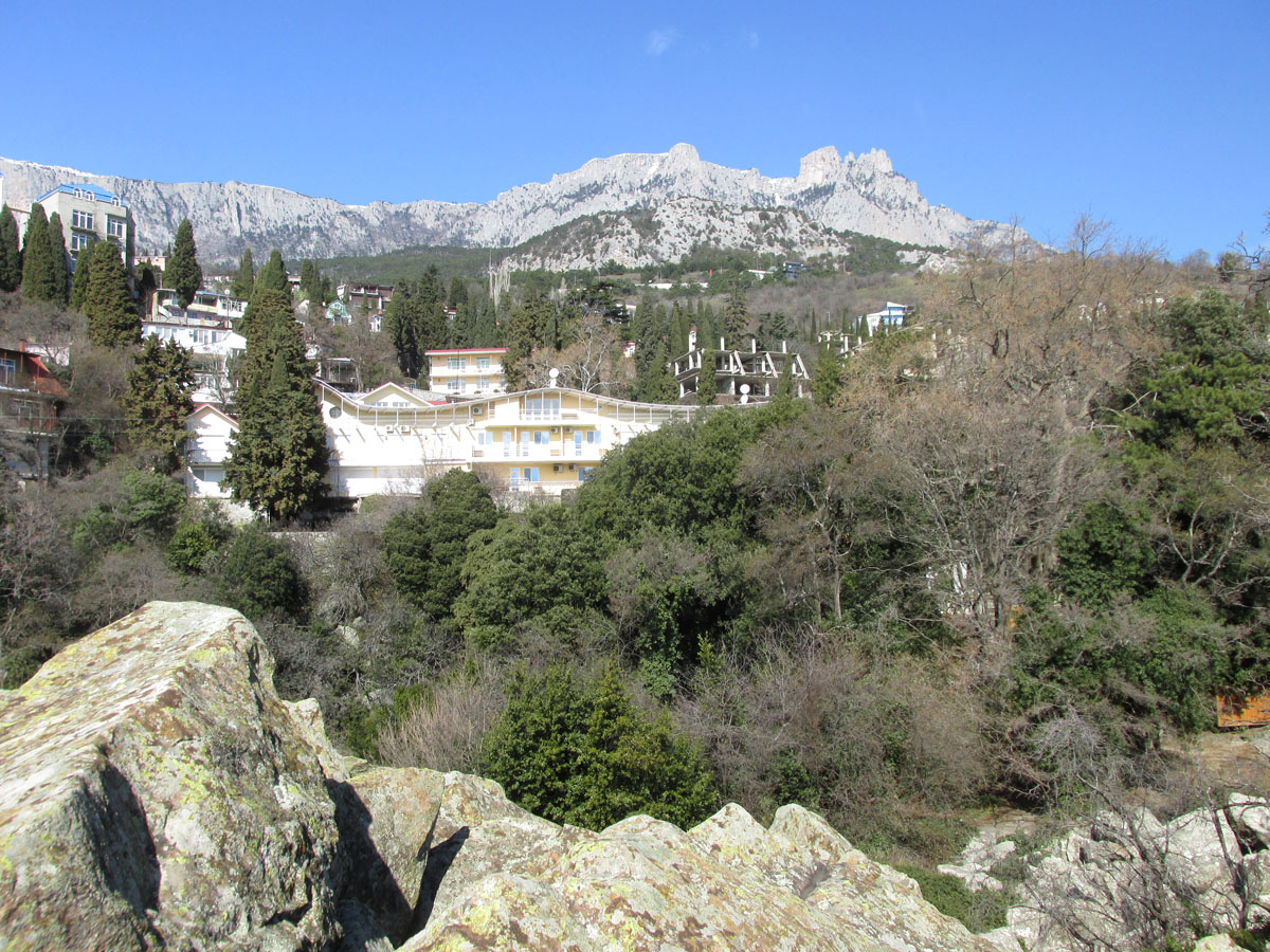 Алупкинский (Воронцовский) парк, image of landscape/habitat.