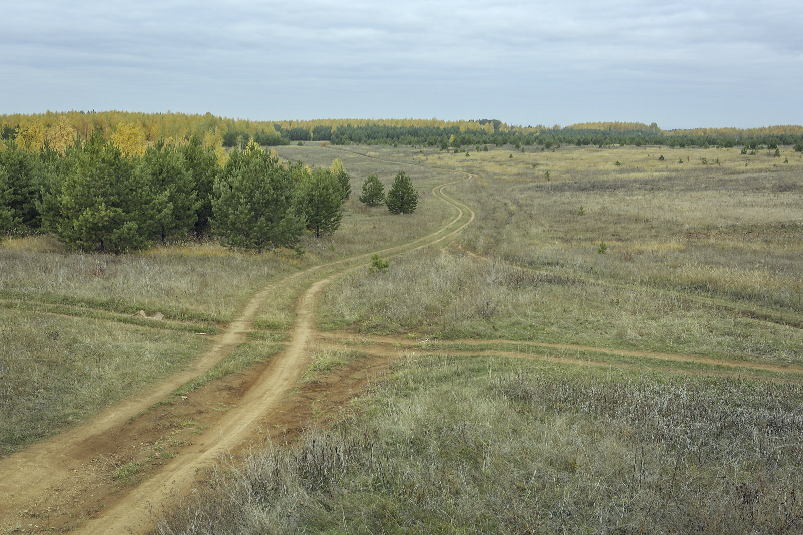 Окрестности села Красный Бор, image of landscape/habitat.