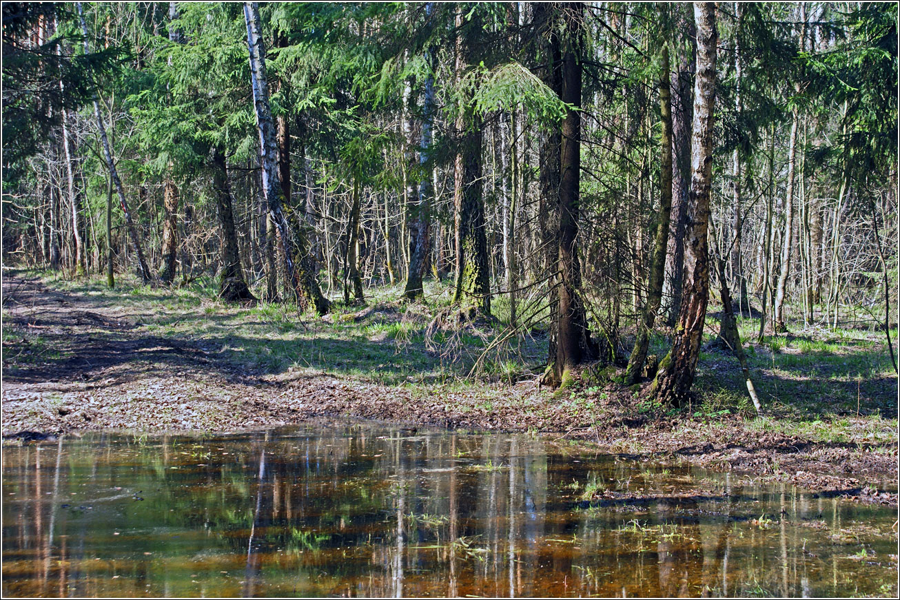 Окрестности Хрипани, image of landscape/habitat.