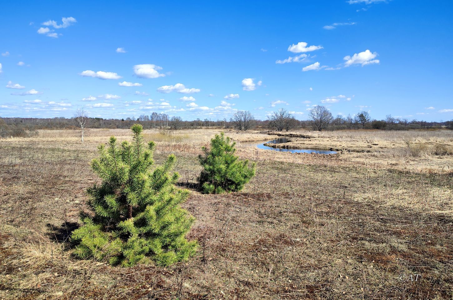 Верховья Каспли, image of landscape/habitat.