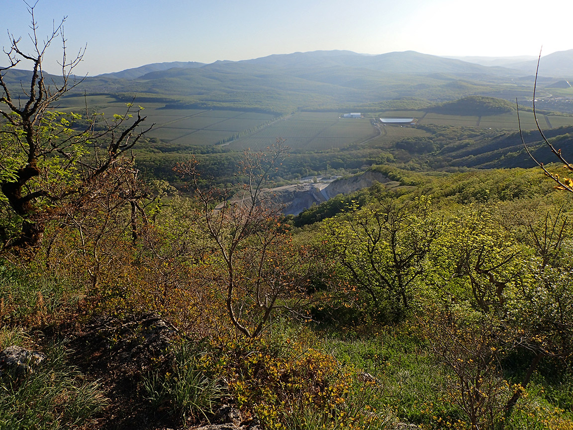 Агармышский лес, image of landscape/habitat.