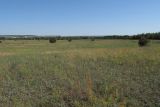 Image of landscape