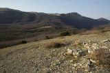 Урочище Парагильмен, изображение ландшафта.