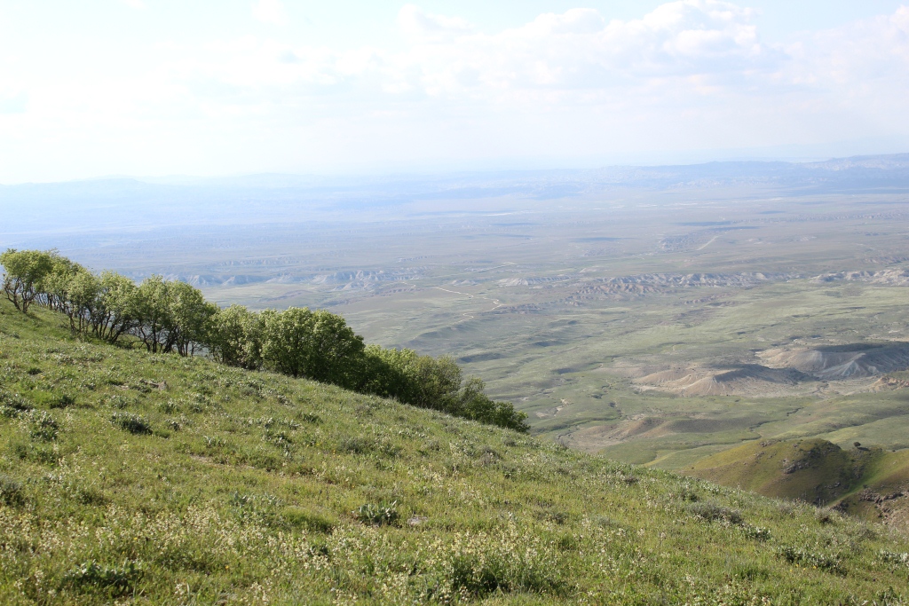 Вершина Исак, image of landscape/habitat.