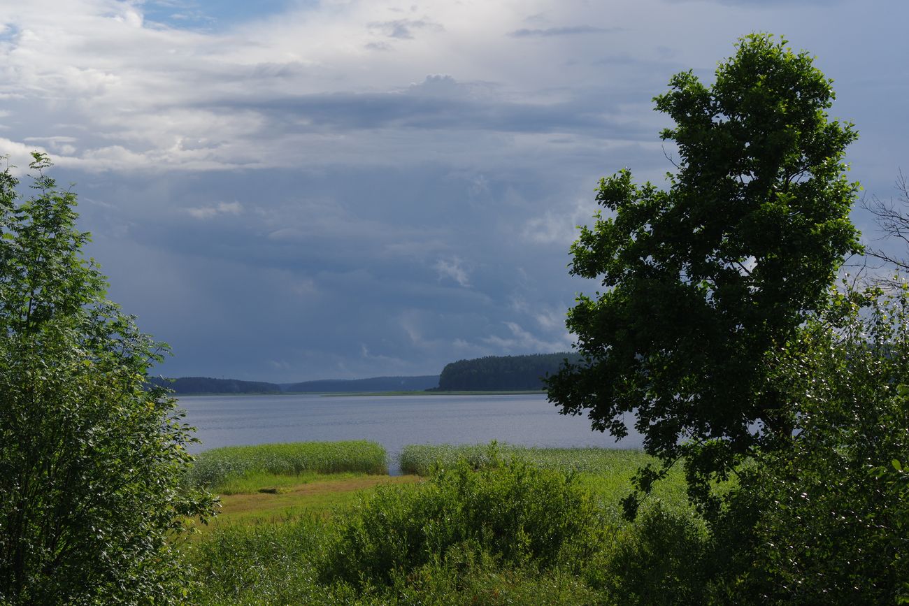 Деревня Кравотынь и окрестности, image of landscape/habitat.