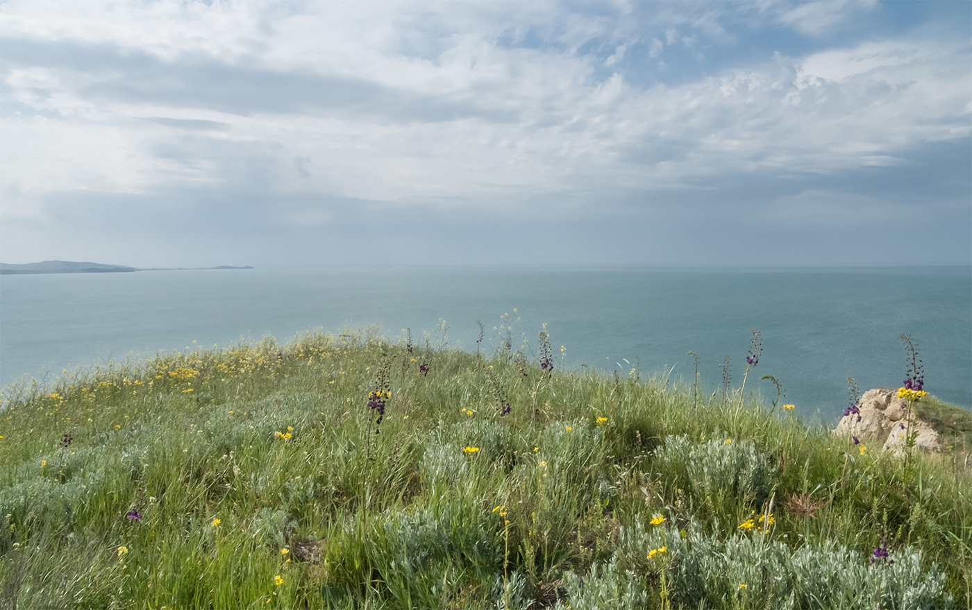 Мыс Тархан, image of landscape/habitat.