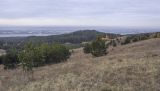Image of landscape