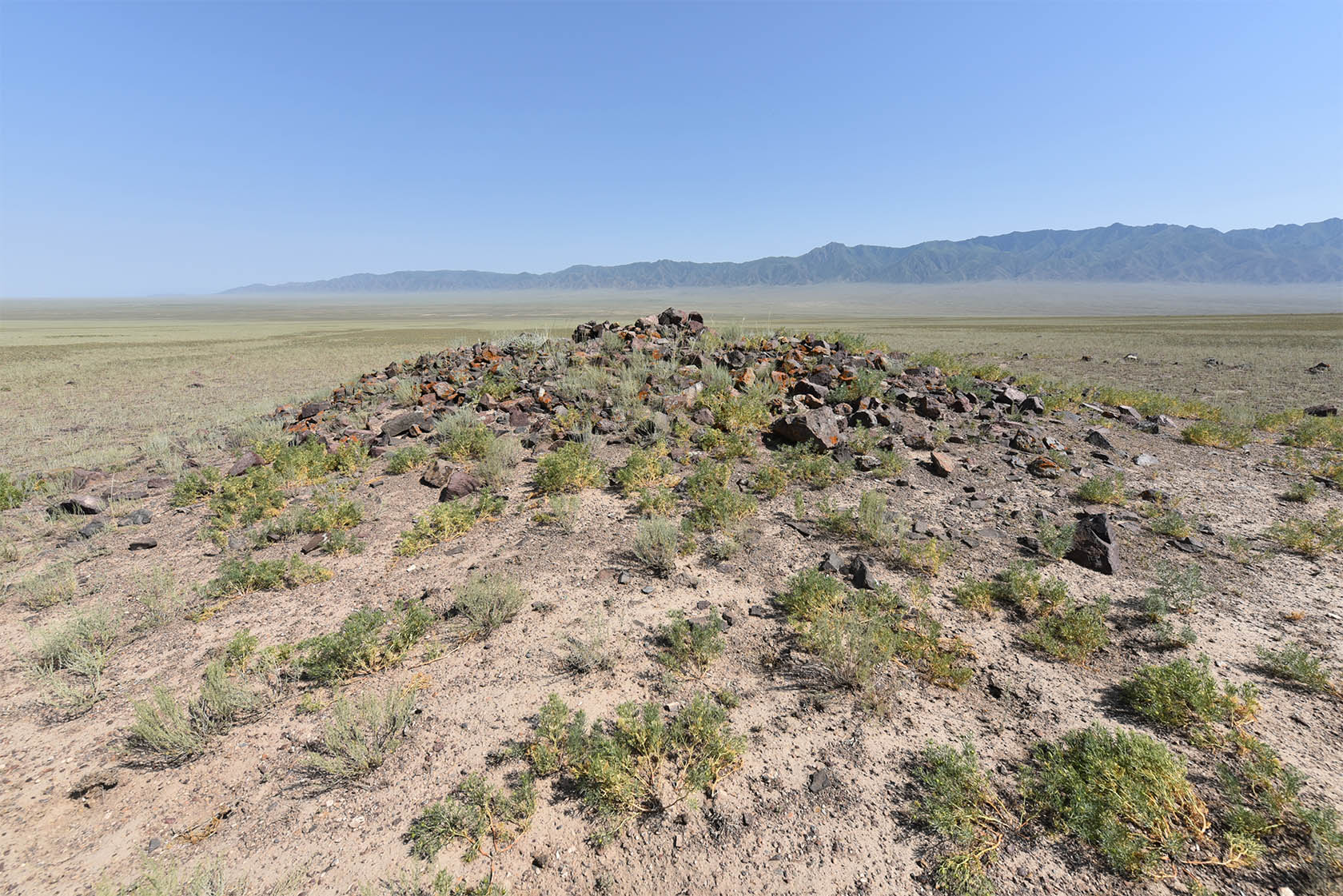 Бартогай, image of landscape/habitat.