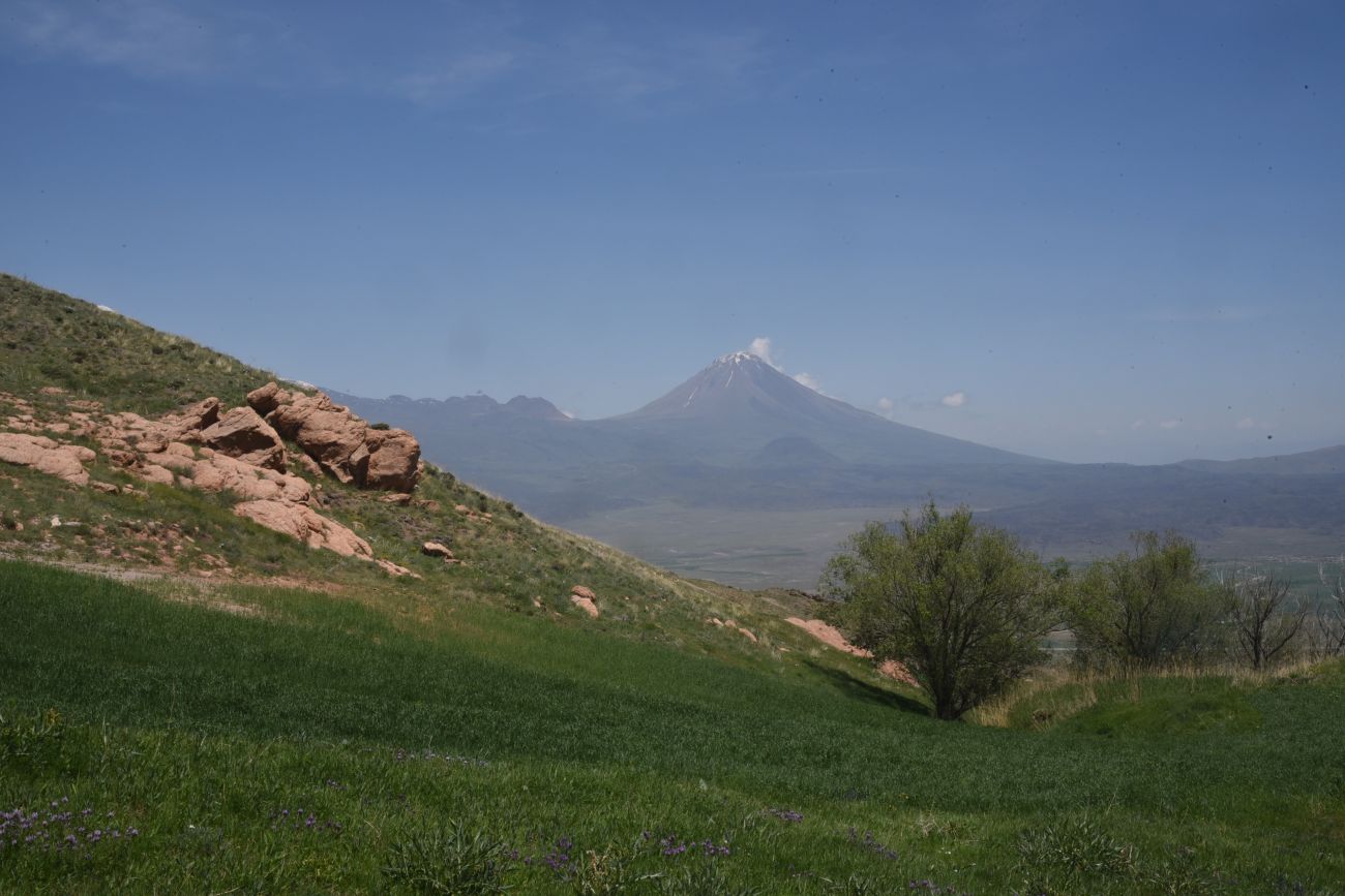 Урочище Ноев Ковчег, image of landscape/habitat.