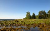 Landscape image