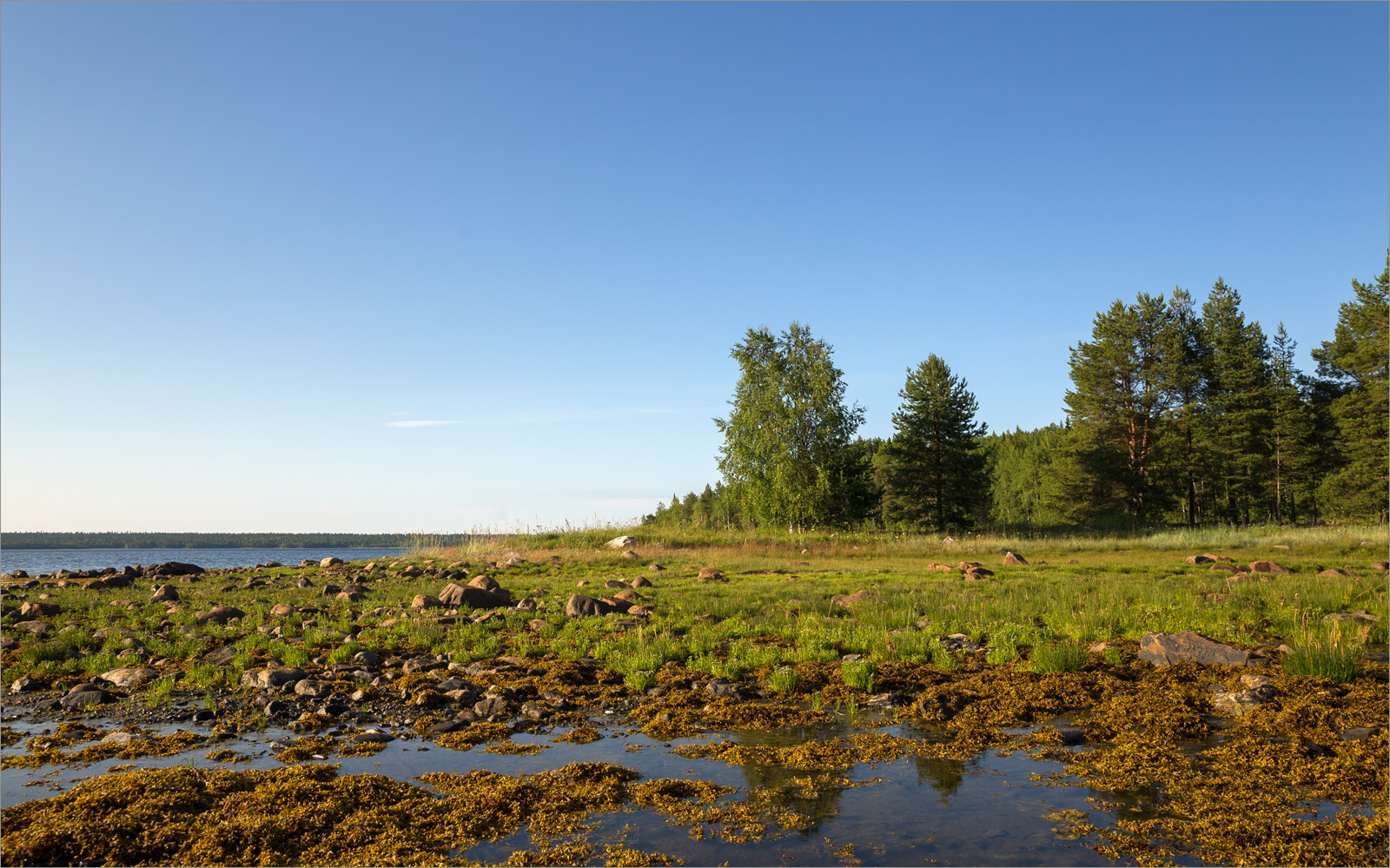 Чкаловский, image of landscape/habitat.