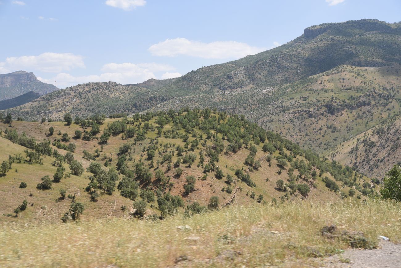 Шеноба, image of landscape/habitat.