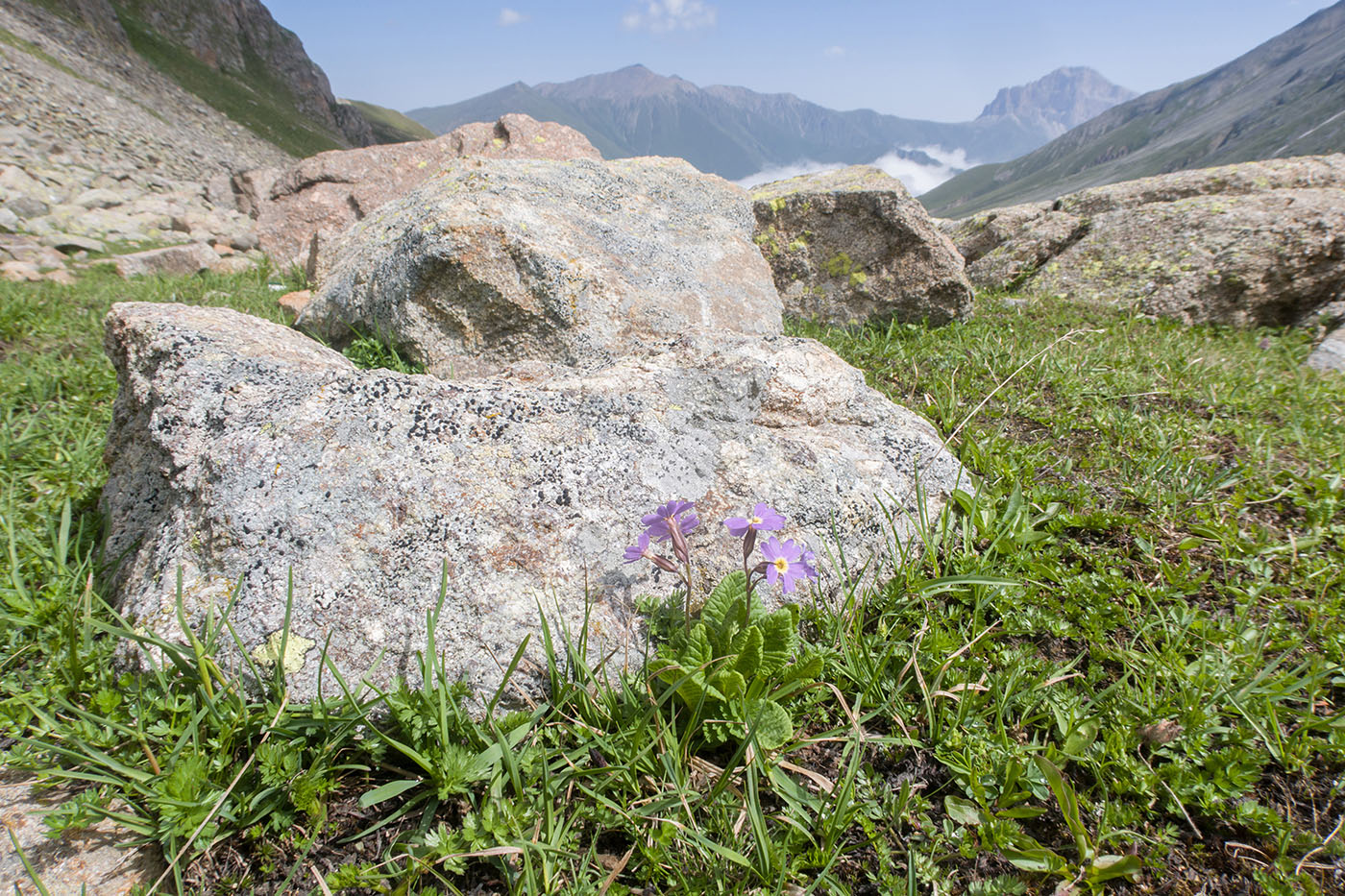 Долина Туранашки, image of landscape/habitat.