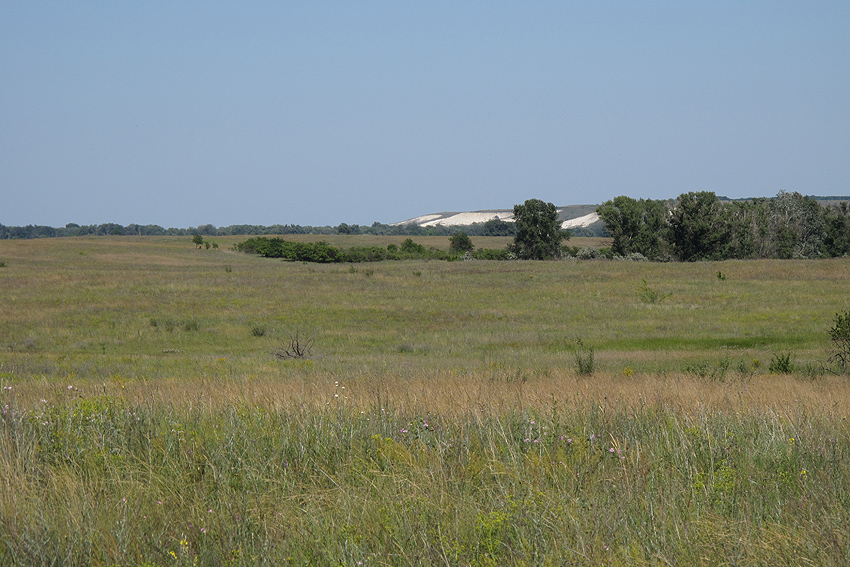 Шолоховские озера, image of landscape/habitat.