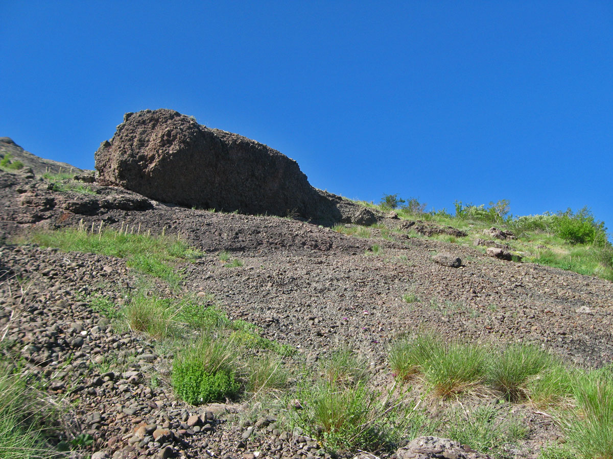 Гора Плакья, image of landscape/habitat.