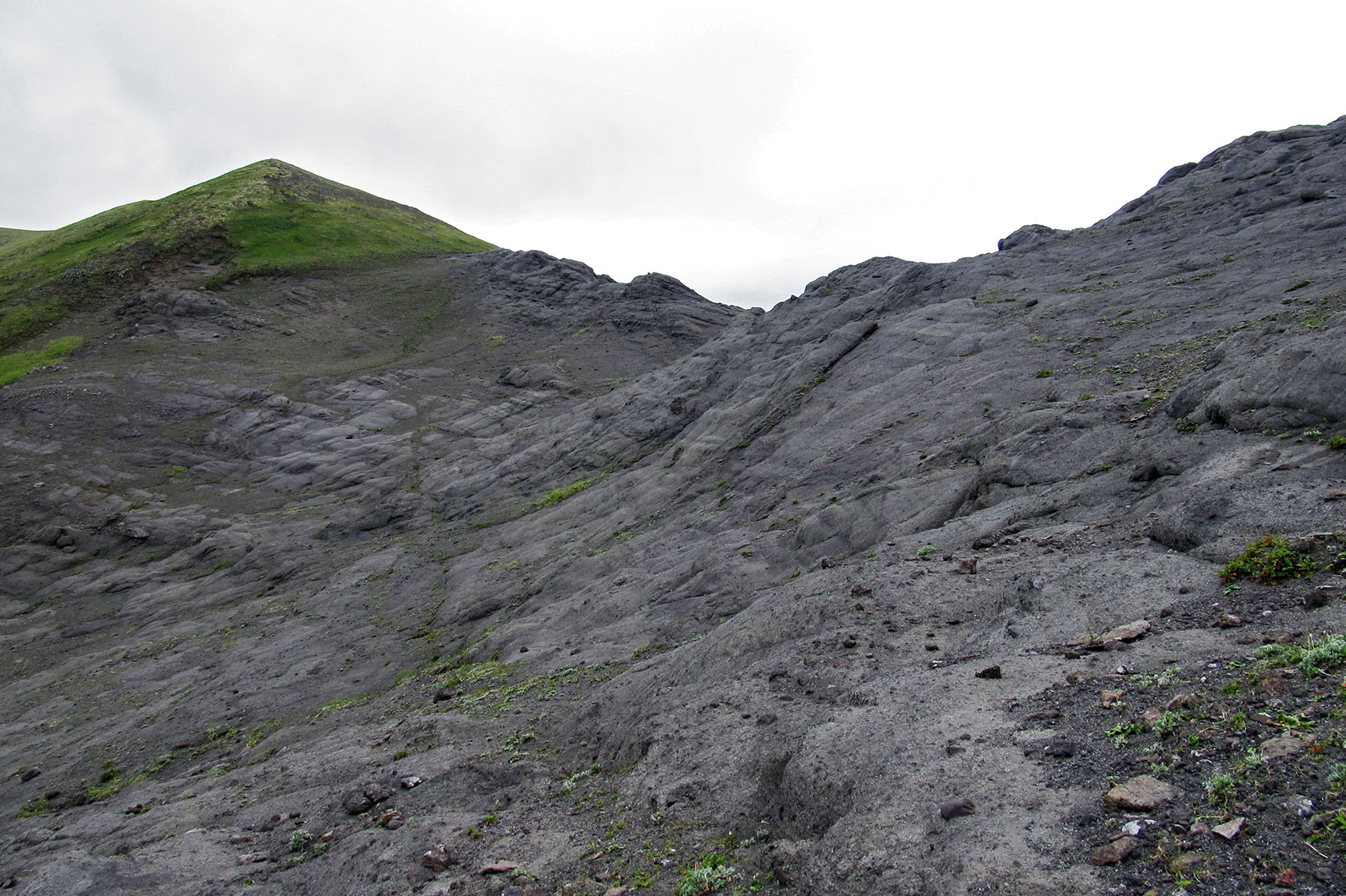 Остров Медный, image of landscape/habitat.