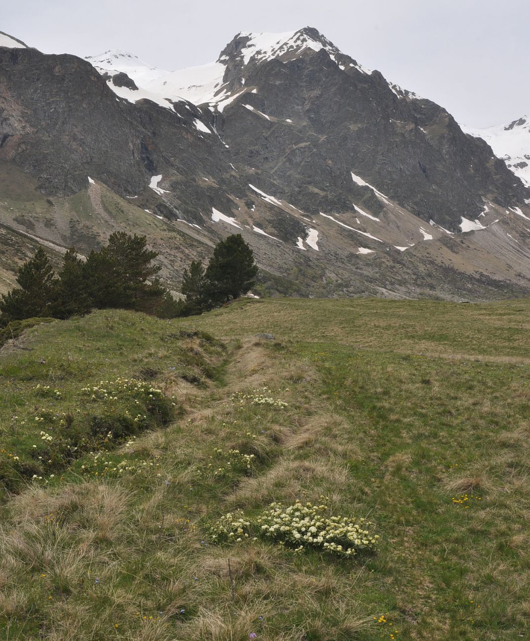 Урочище Экяра, image of landscape/habitat.