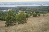 Image of landscape