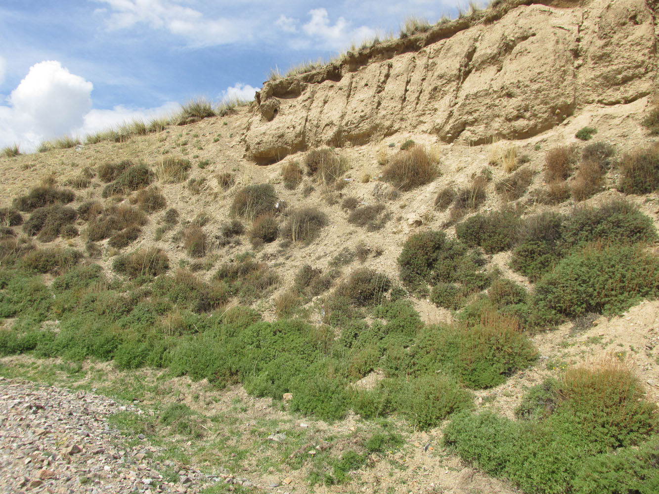 Окрестности Ташанты, image of landscape/habitat.