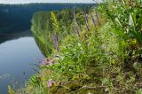 Image of landscape