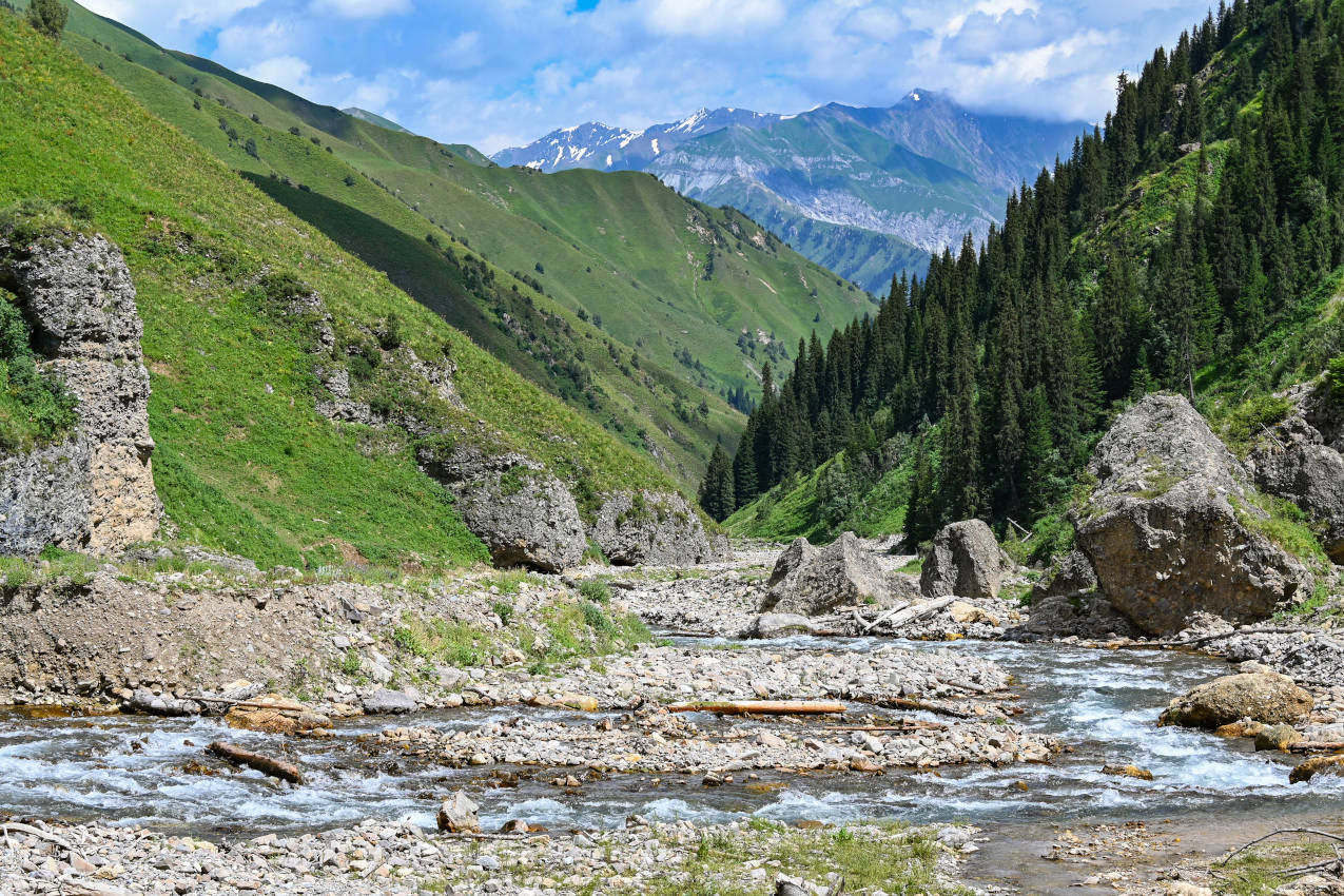 Долина реки Кара-Суу, image of landscape/habitat.