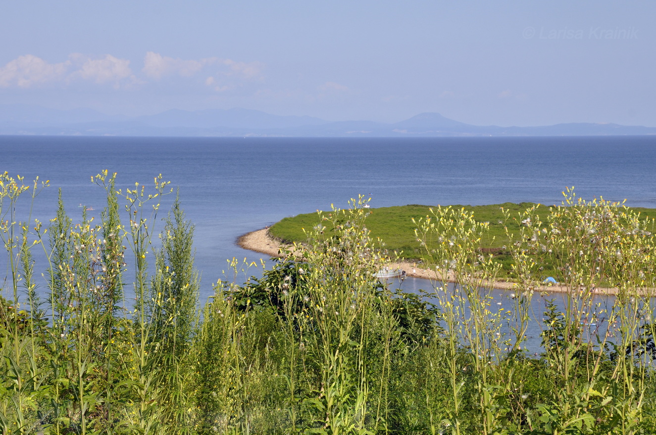Бухта Ахлёстышева, изображение ландшафта.