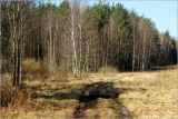 Окрестности Хрипани, изображение ландшафта.
