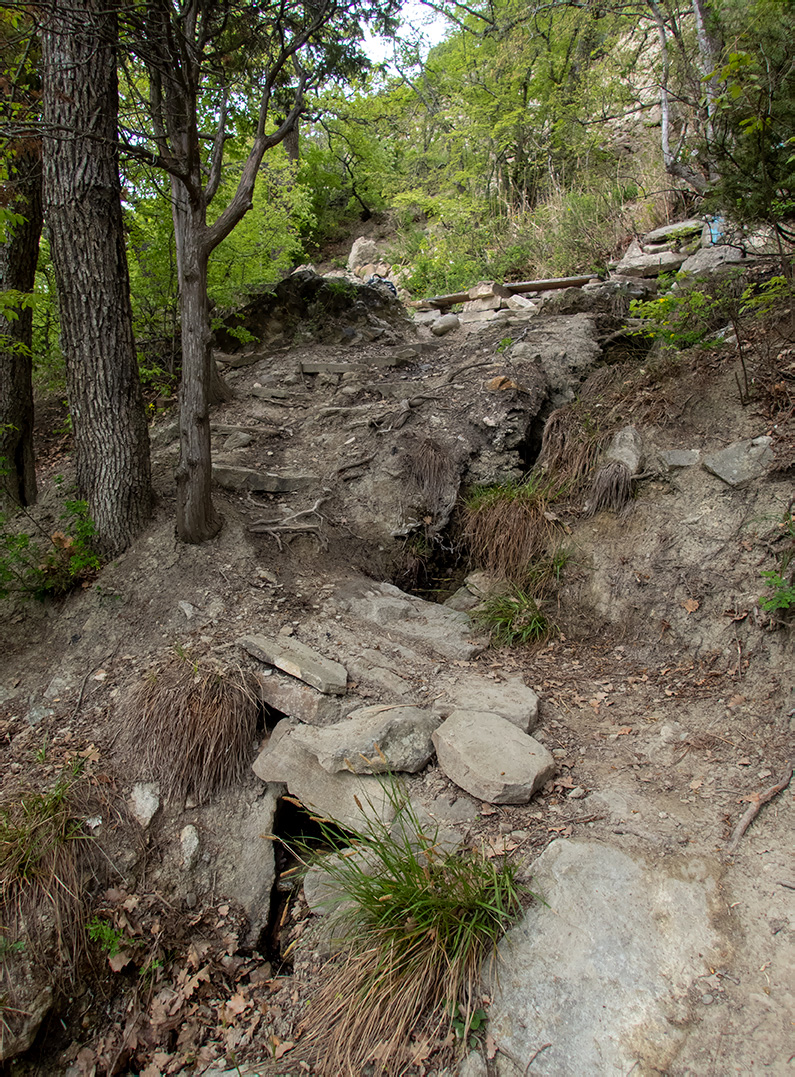 Хребет Токлук-Сырт, image of landscape/habitat.