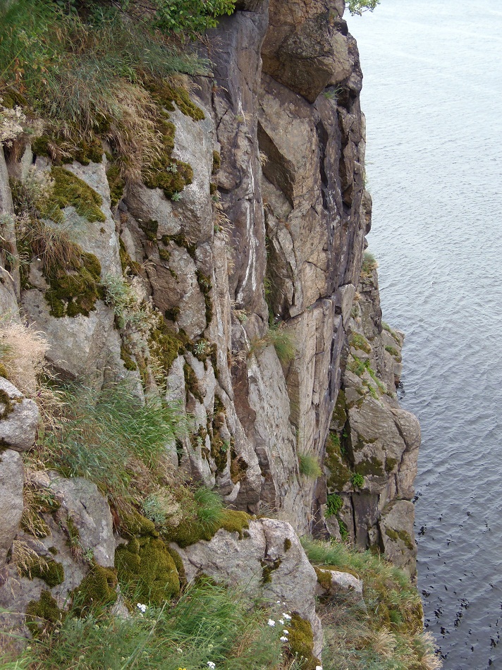 Остров Хортица, image of landscape/habitat.