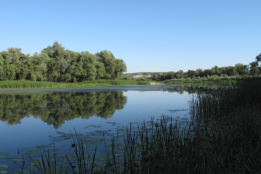 Шолоховские озера, image of landscape/habitat.