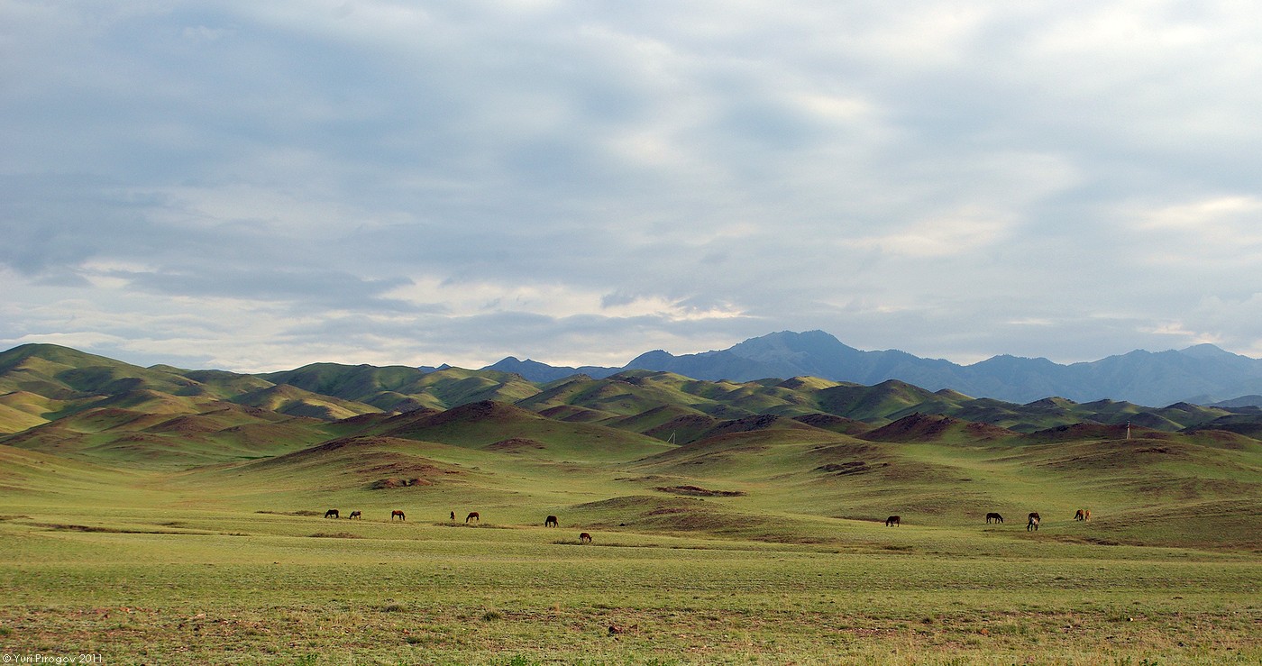 Кулуктау, image of landscape/habitat.