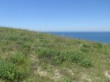 Image of landscape