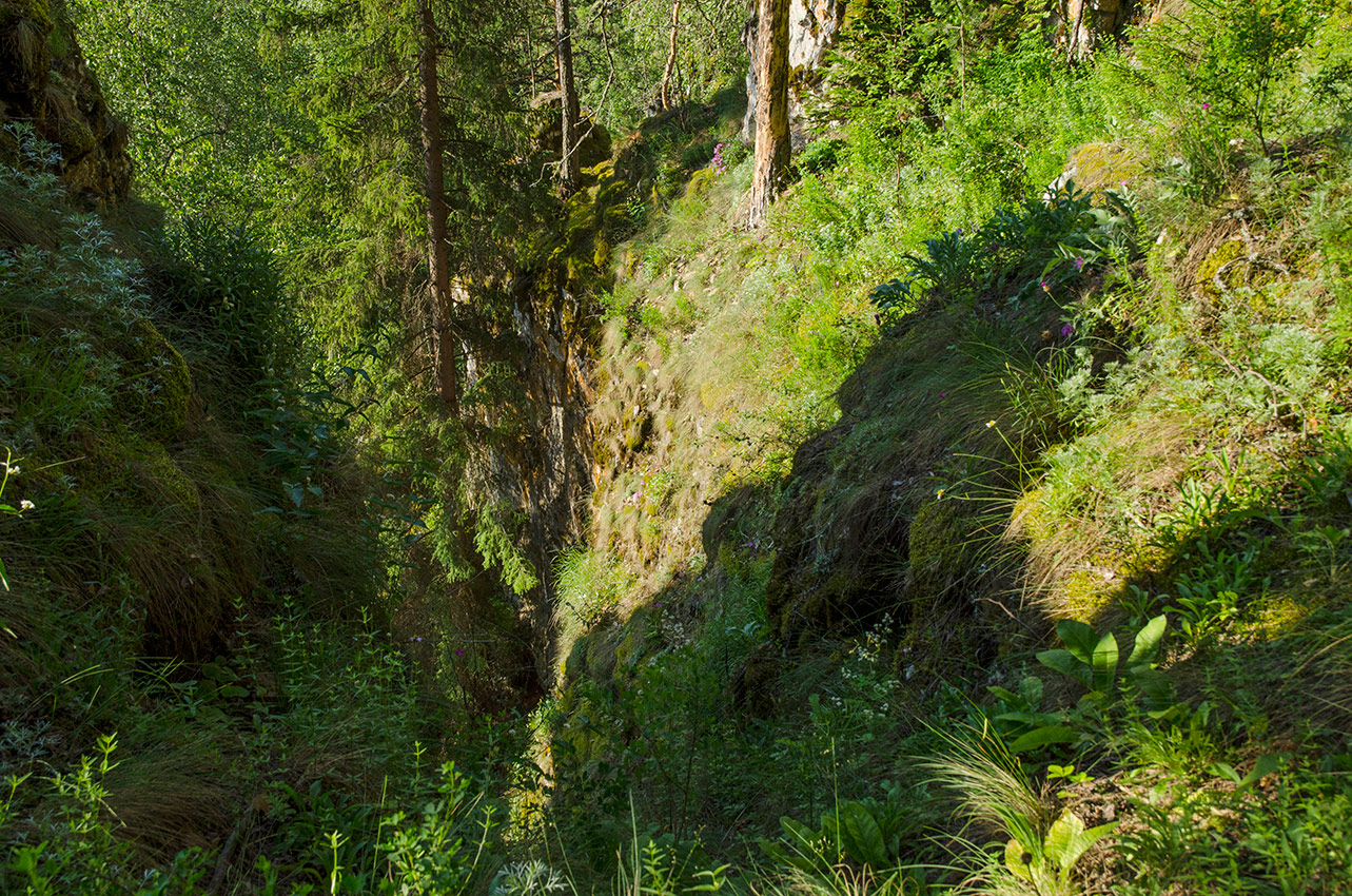 Окрестности Арасланово, image of landscape/habitat.