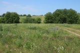 Езерище и окрестности, image of landscape/habitat.