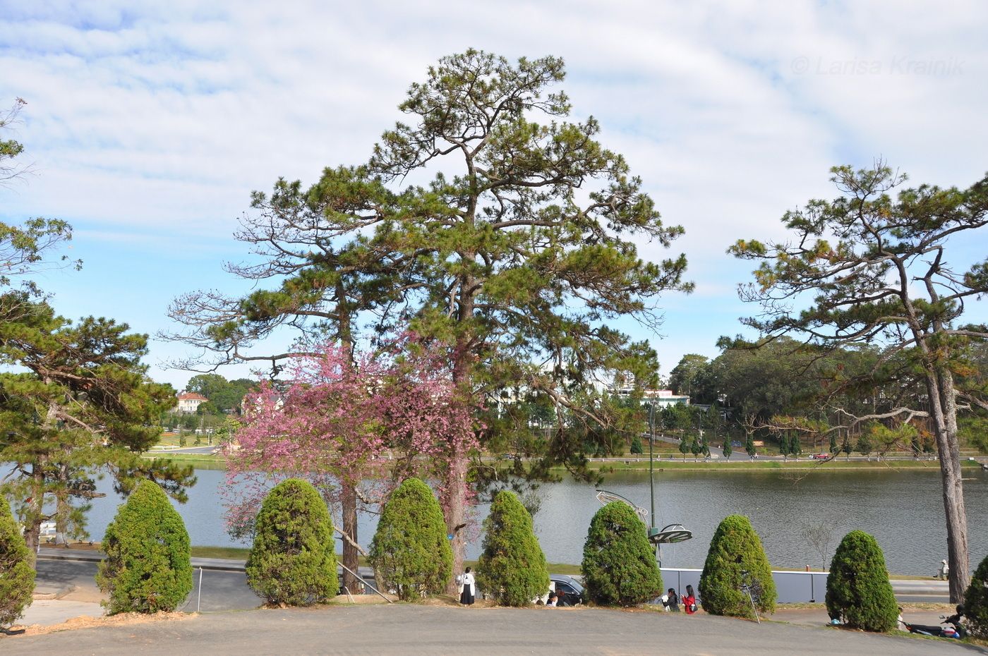 Далат, image of landscape/habitat.