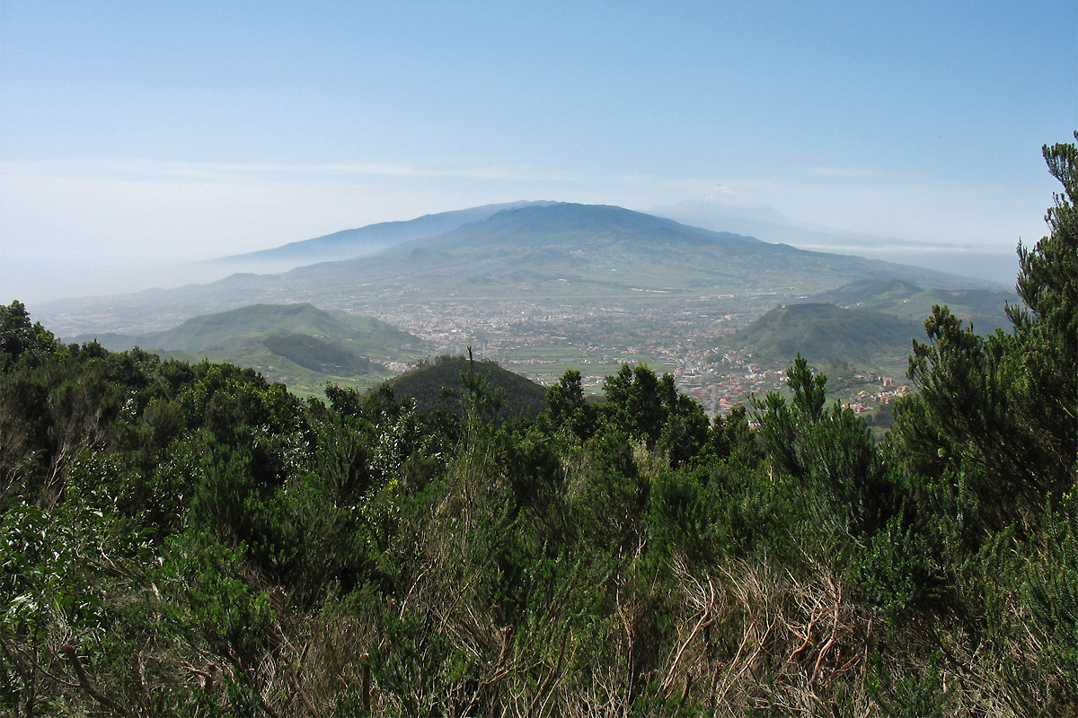 Ландшафтный парк Анага, image of landscape/habitat.