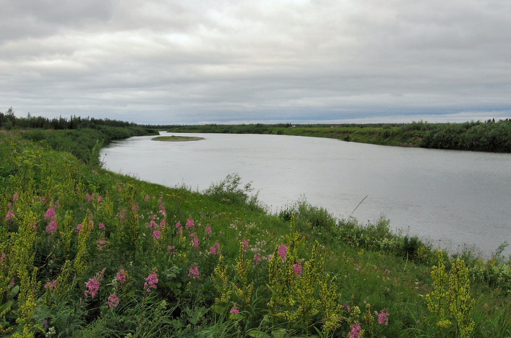 Юнъяха, image of landscape/habitat.