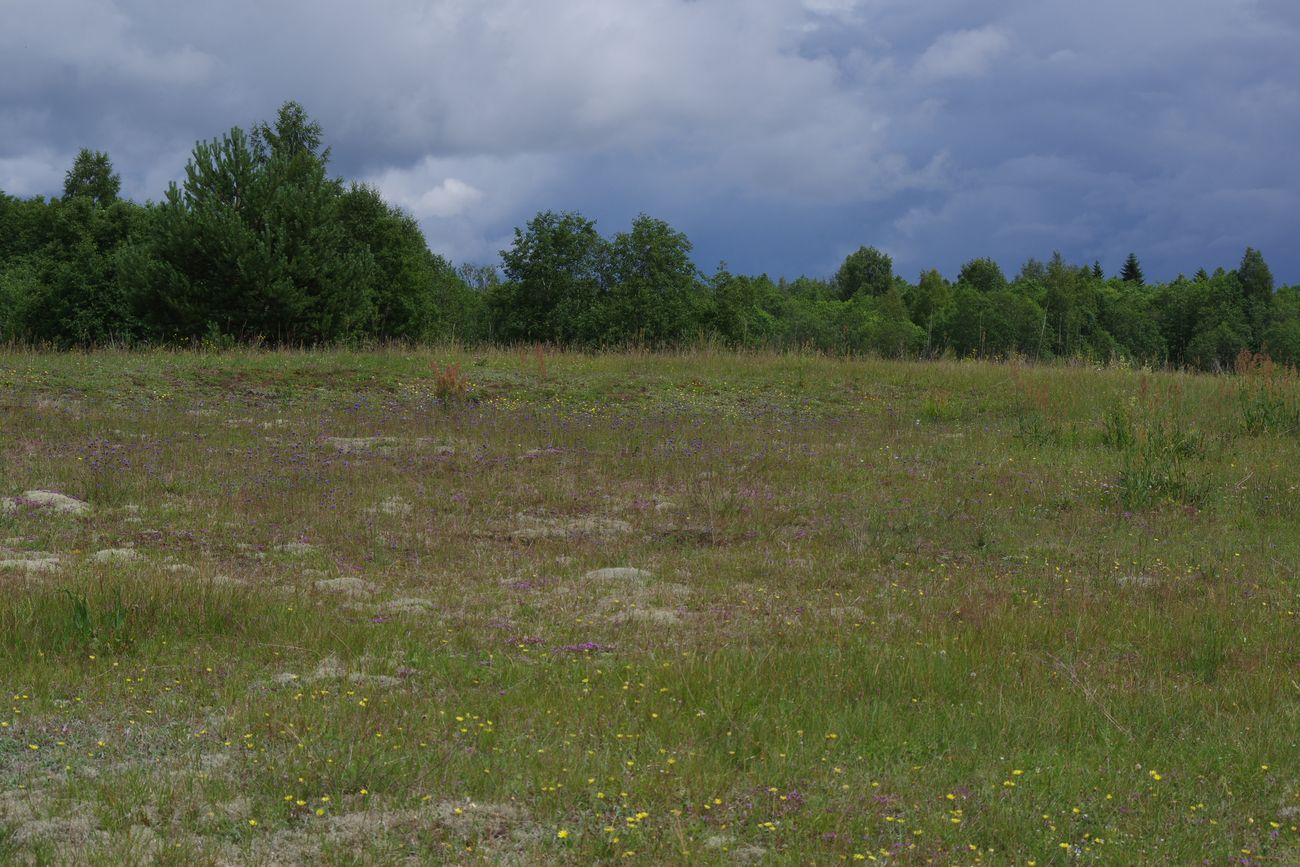 Деревня Кравотынь и окрестности, image of landscape/habitat.