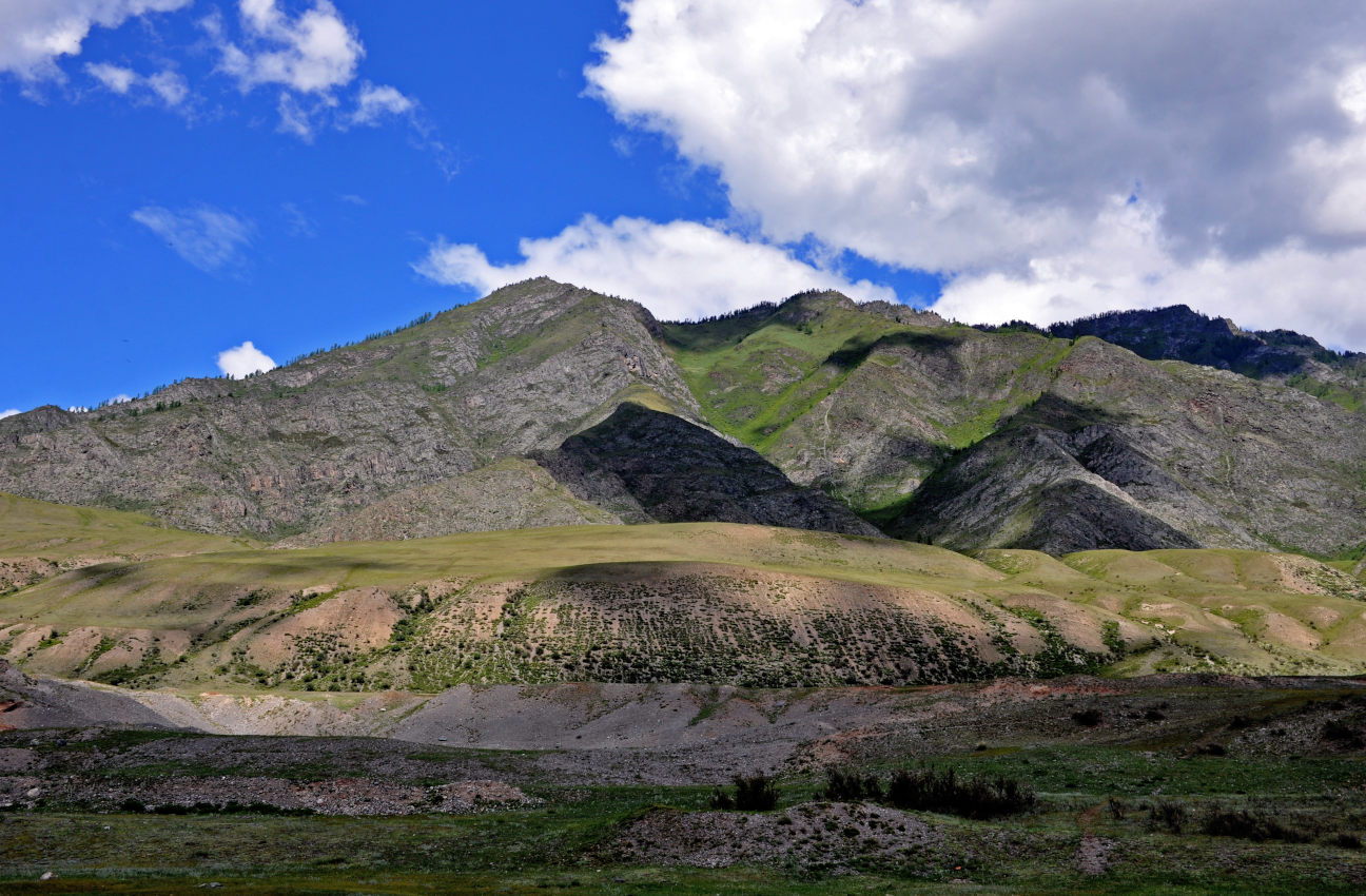 Калбак-таш, image of landscape/habitat.