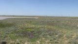 Озеро Кирлеутское, image of landscape/habitat.