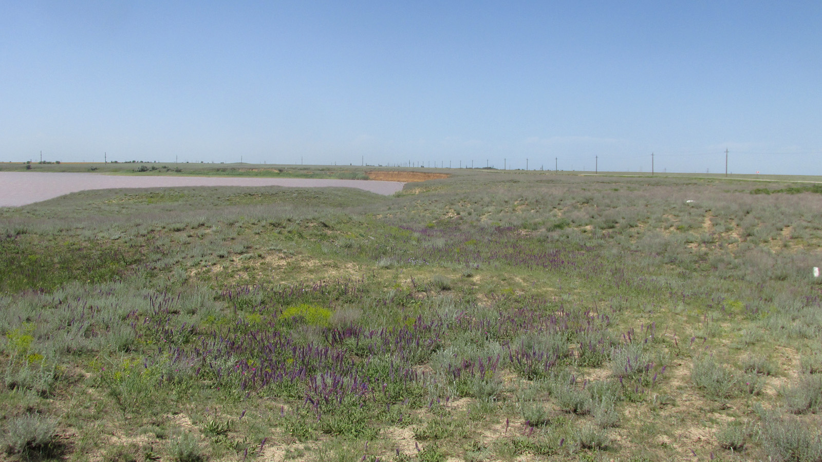 Озеро Кирлеутское, image of landscape/habitat.