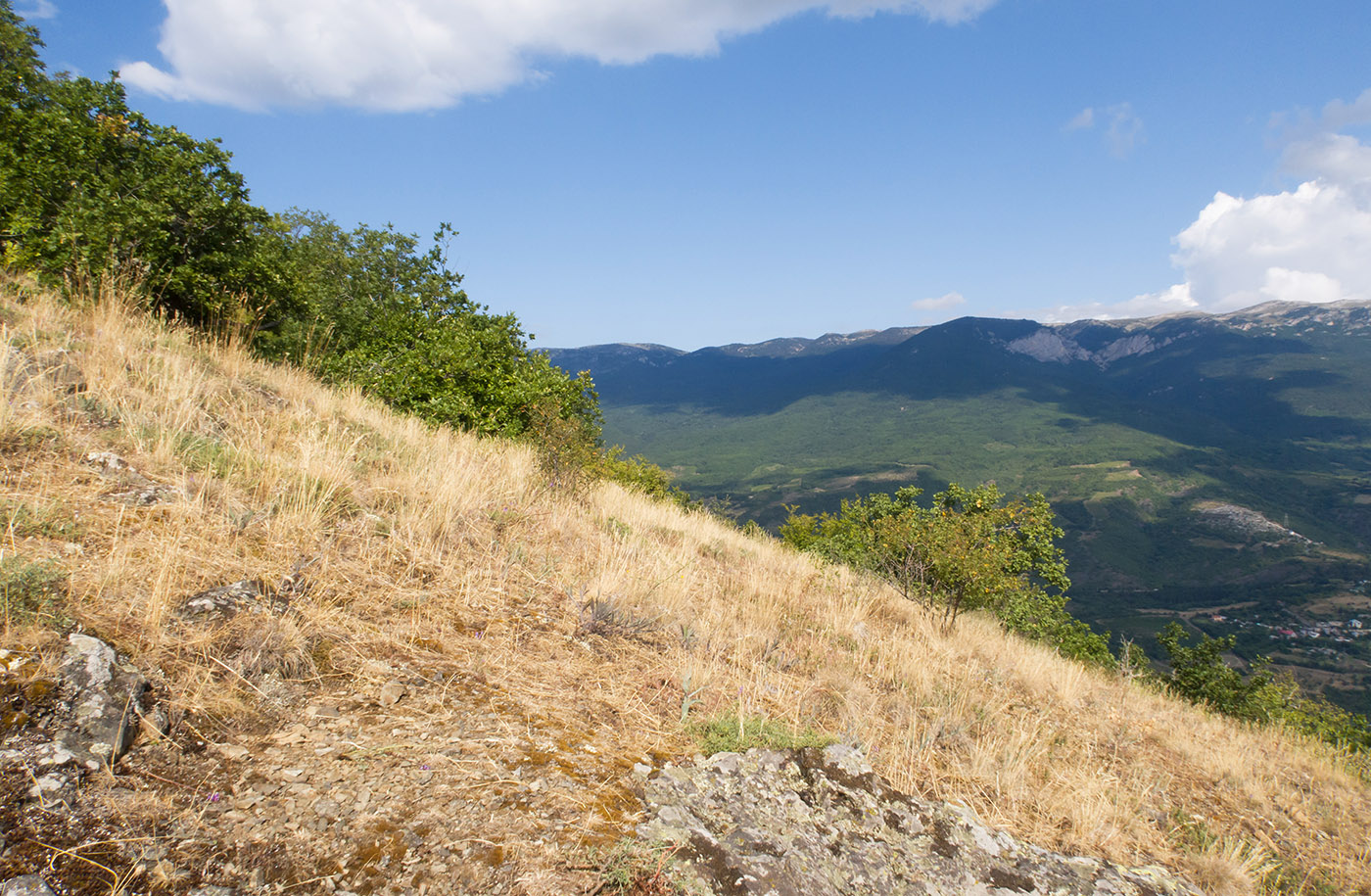 Аюдаг, image of landscape/habitat.