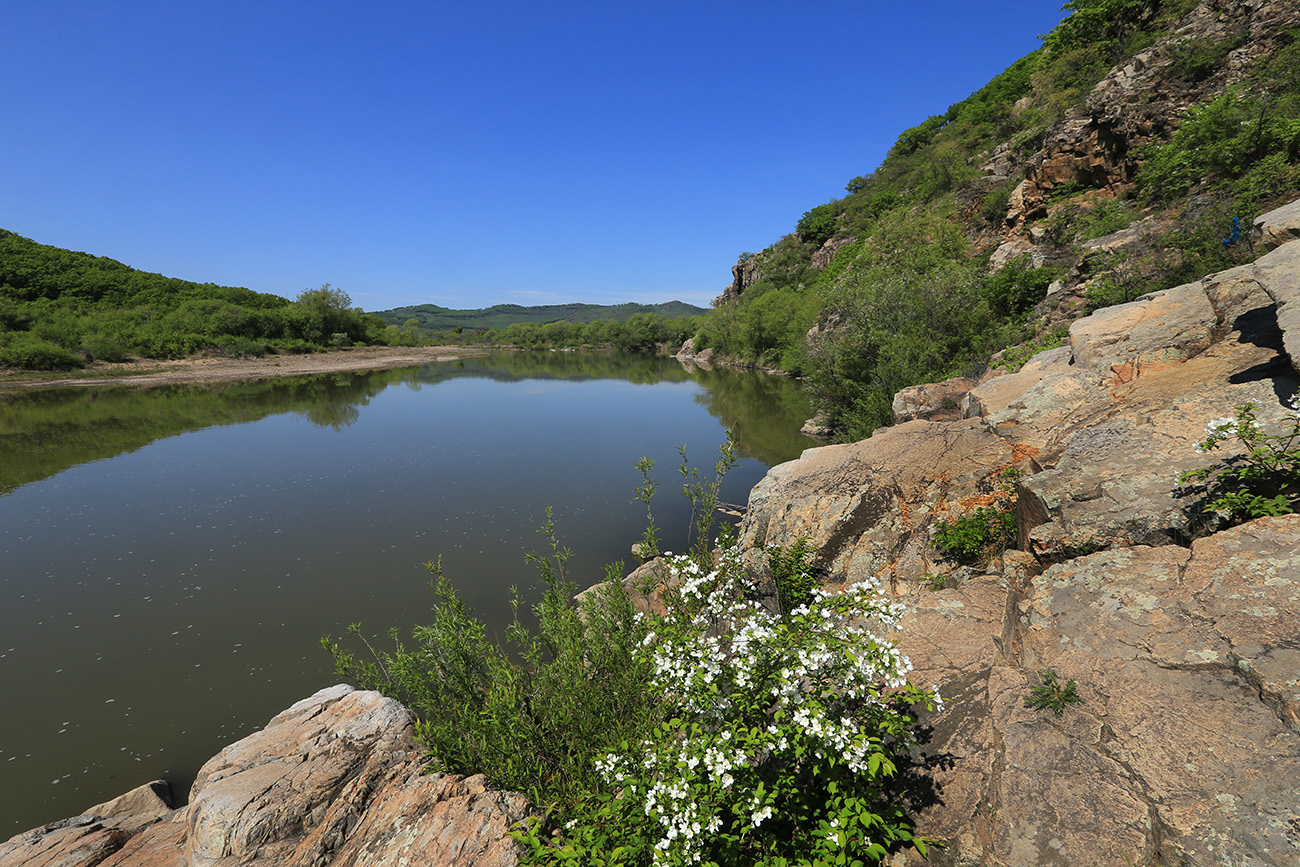 Чернятино, image of landscape/habitat.